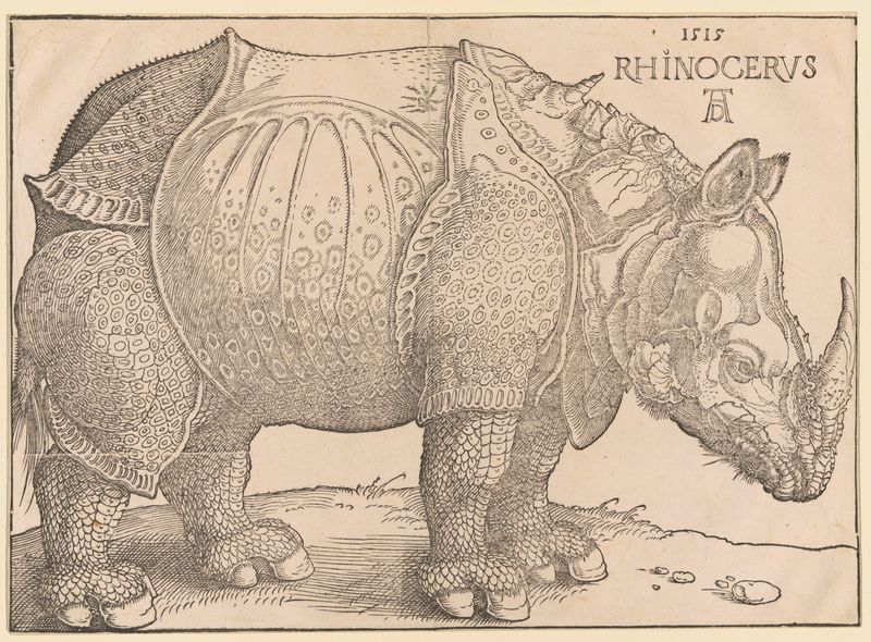 Albrecht Dürer_Rhinocerus_Graphische Sammlung